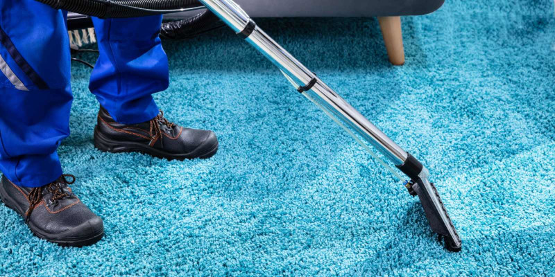 Carpet Stain Removal in High Point, North Carolina