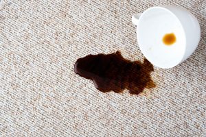 What to Expect from Our Carpet Stain Cleaning Services