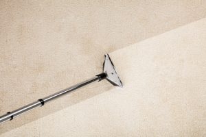 Does Professional Carpet Cleaning Really Make a Difference?