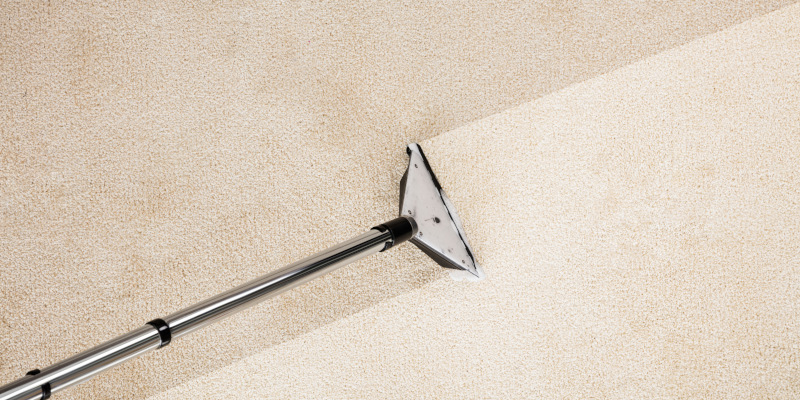 Does Professional Carpet Cleaning Really Make a Difference?